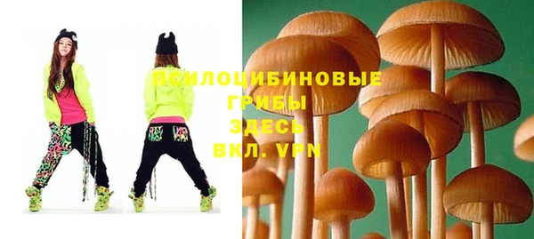 дмт Алзамай