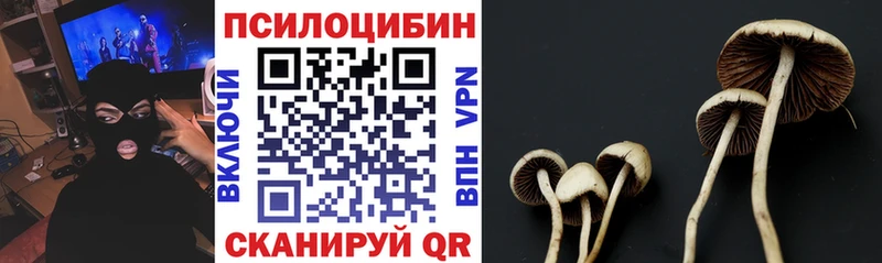 Галлюциногенные грибы прущие грибы  Тобольск 